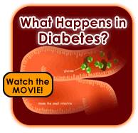 在糖尿病发生了什么?